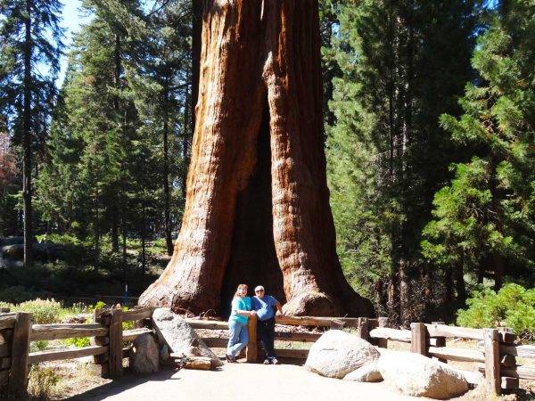 Zwei Reisende stehen vor einem gigantischen Mammutbaum in den USA auf einer Reise durch Nordamerika