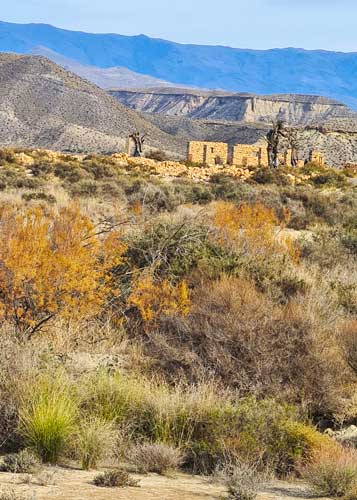 Fort Bravo