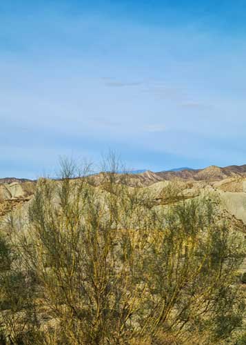 Fort Bravo