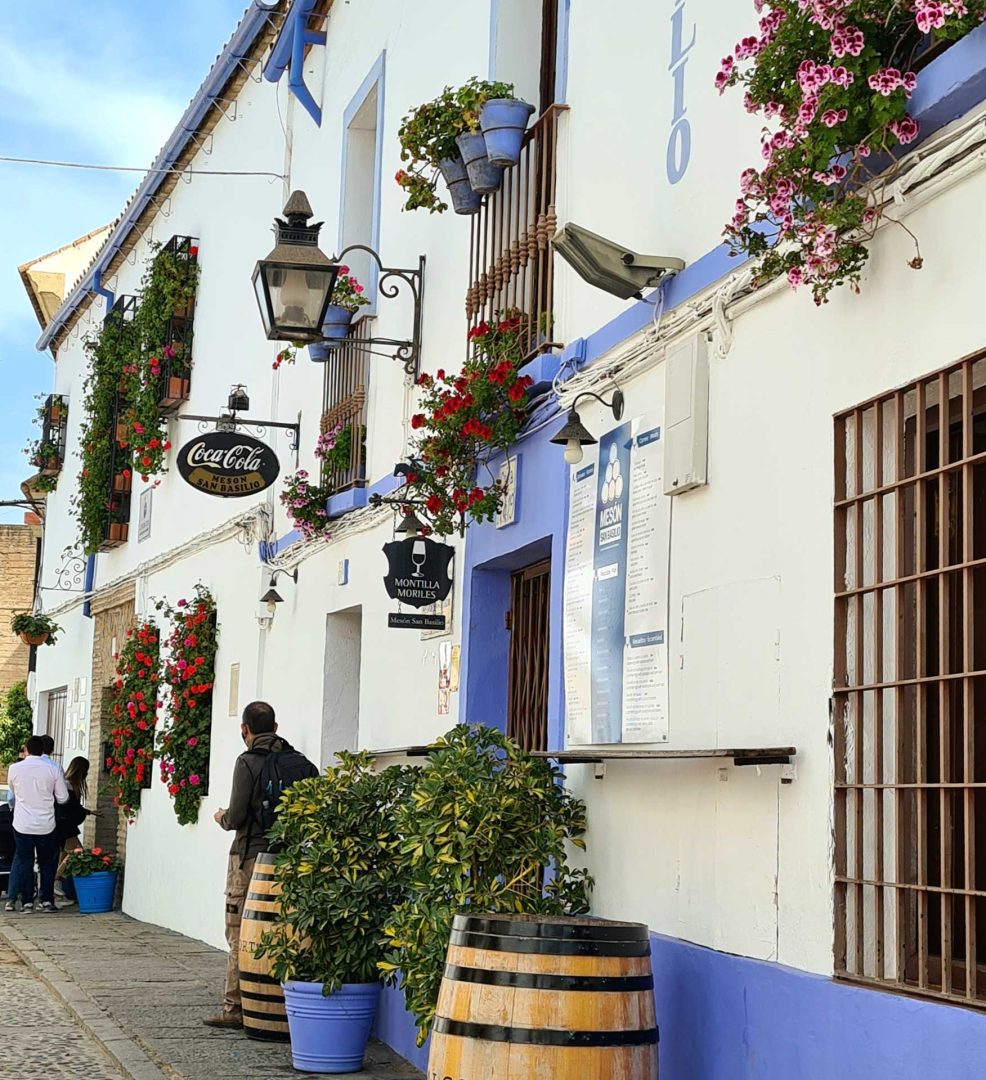 Blau-weiß gestrichenes Haus mit Blumen vor dem Restaurant in Córdoba – Wohnmobil-Rundreise Spanien