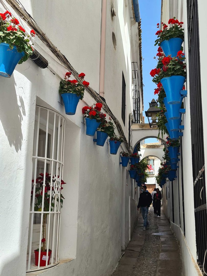 Enge Gasse in Córdoba mit weißen Häusern und blauen Blumentöpfen an den Wänden – Wohnmobil-Rundreise Spanien