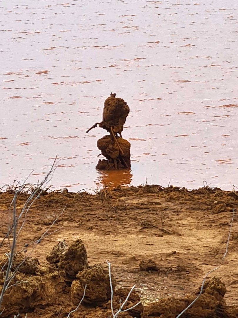 Skulpturen am Río Tinto, entstanden durch natürliche Verschmutzung und Mineralablagerungen, bei einer Wohnmobil-Rundreise Spanien