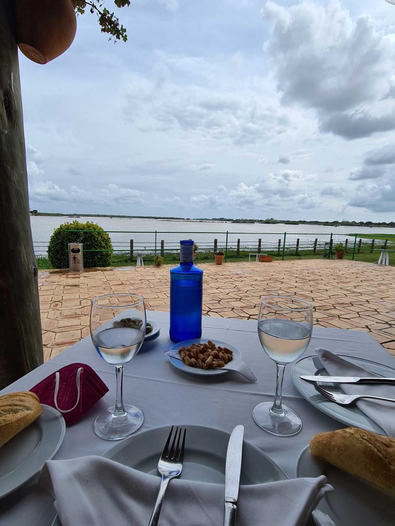 Blick auf die Terrasse des Restaurants Aires de Doñana mit rustikalem Charme – Wohnmobil-Rundreise Spanien