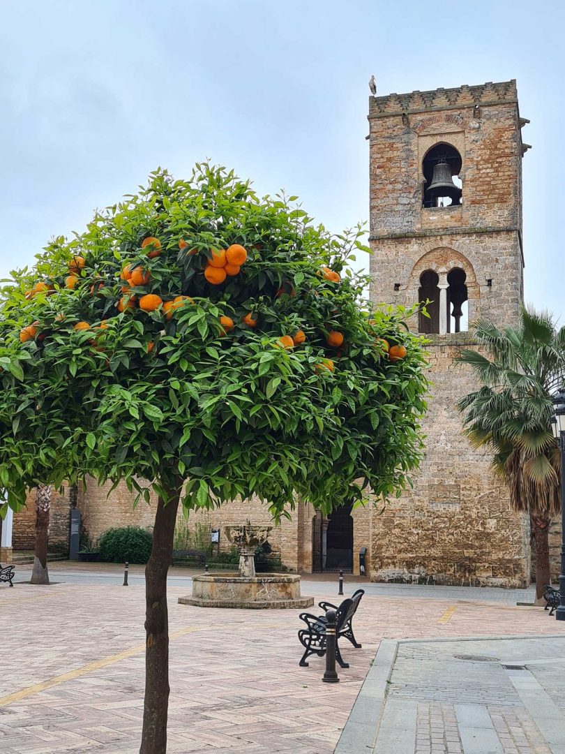 Kirche Santa María de la Granada in Niebla mit Orangenbaum im Vordergrund – Wohnmobil-Rundreise Spanien