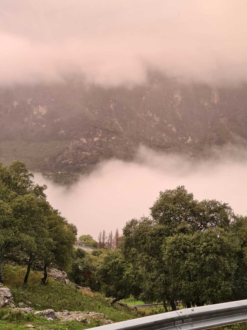 Wald, umgeben von roten Wolken oben und Dunstschwaden unten – Wohnmobil-Rundreise Spanien
