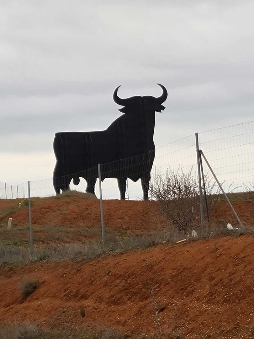 Osborne-Stier steht eindrucksvoll auf roter Erde in weiter Landschaft – Wohnmobil-Rundreise Spanien