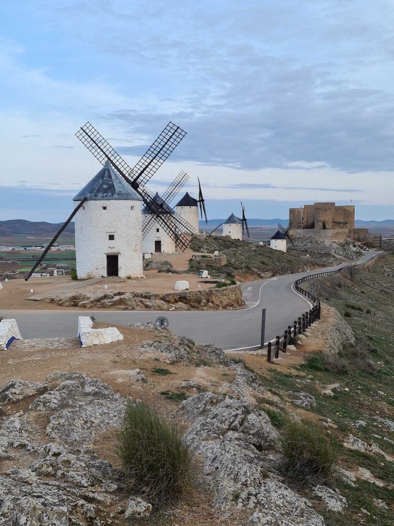 Fünf Windmühlen auf dem Hügel, das Kastell von Consuegra im Hintergrund, Rucio im Vordergrund – Wohnmobil-Rundreise Spanien