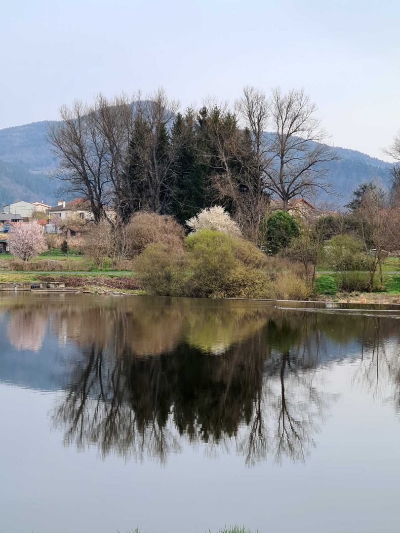 Baumgruppe und Büsche spiegeln sich im ruhigen Fluss und schaffen ein harmonisches Naturbild – Wohnmobil-Rundreise Spanien