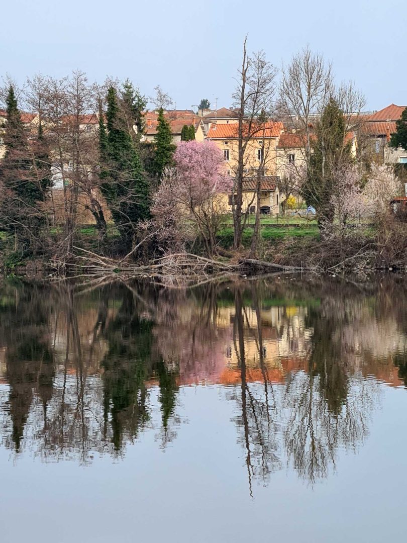 Bäume am Flussufer, darunter ein rosa blühender Baum, deren Spiegelungen sich im ruhigen Wasser zeigen – Wohnmobil-Rundreise Spanien