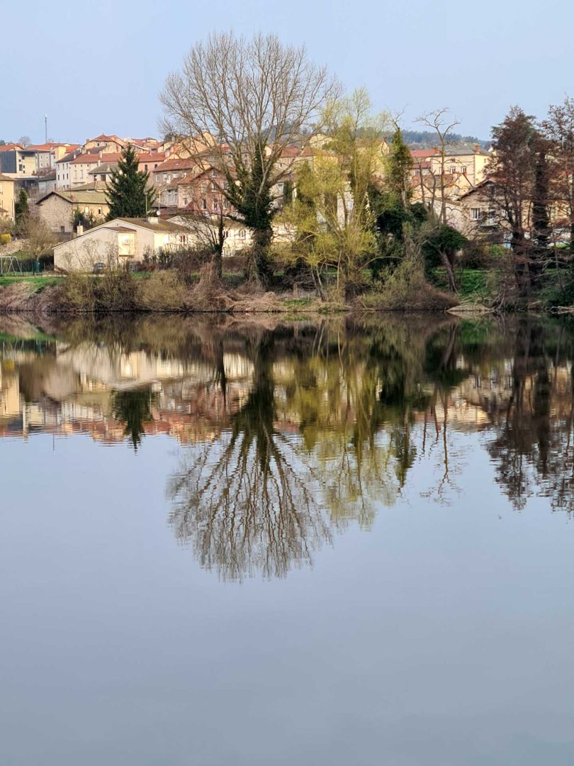 Filigraner, großer, blattloser Baum, der sich klar im ruhigen Fluss spiegelt – Wohnmobil-Rundreise Spanien