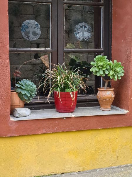 Sukkulenten in Tontöpfen auf der Fensterbank – Wohnmobil-Rundreise Spanien