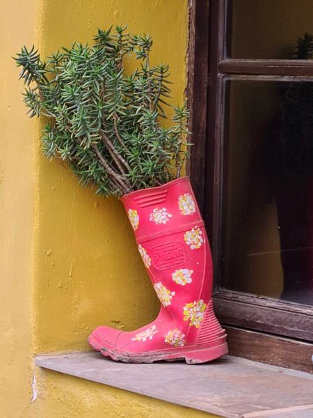 Gummistiefel als Blumentopf mit Rosmarin bepflanzt - Wohnmobil-Rundreise Spanien